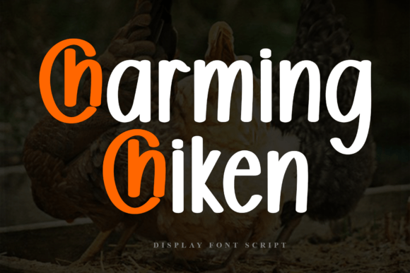 Discovering the Warmth of Charming Chiken Typography